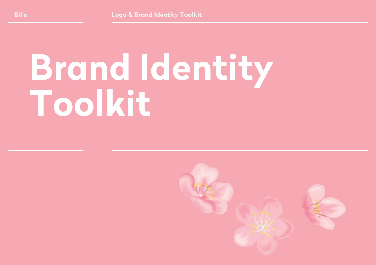 Billa brand identity toolkit cover