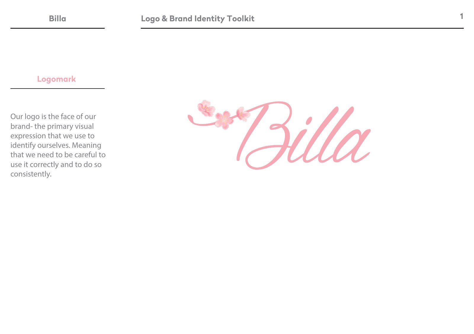 Billa presentation slide 3