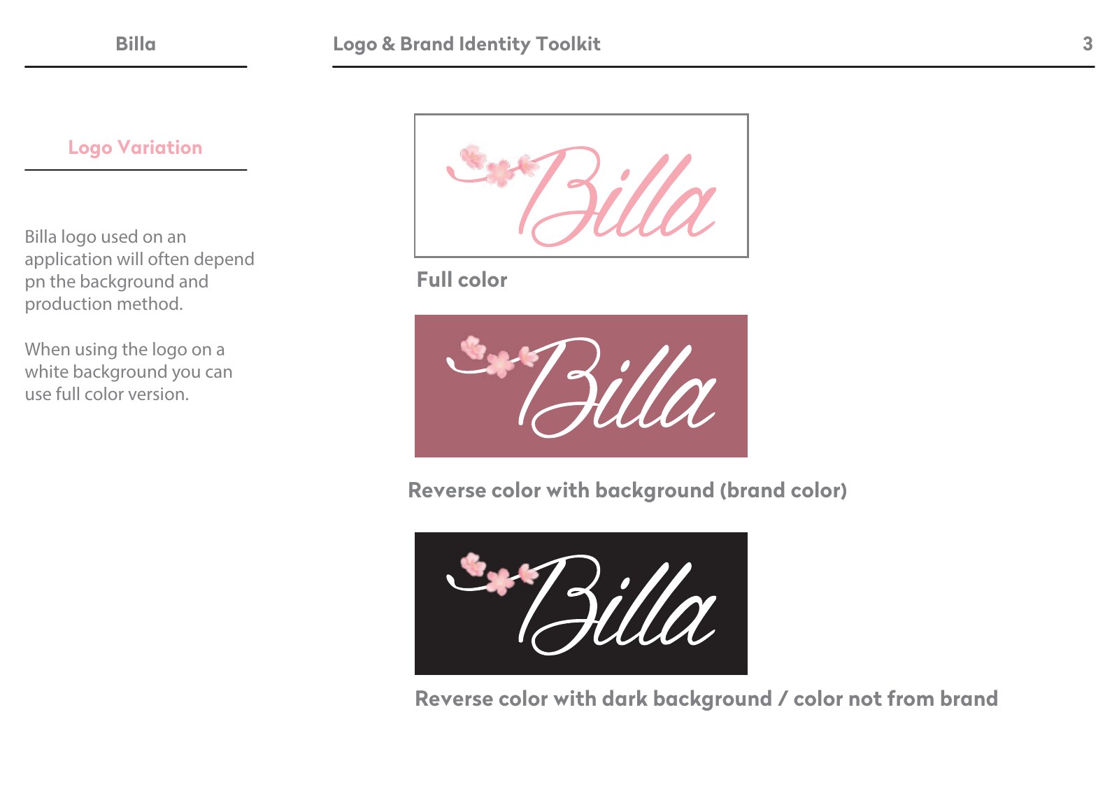 Billa presentation slide 5