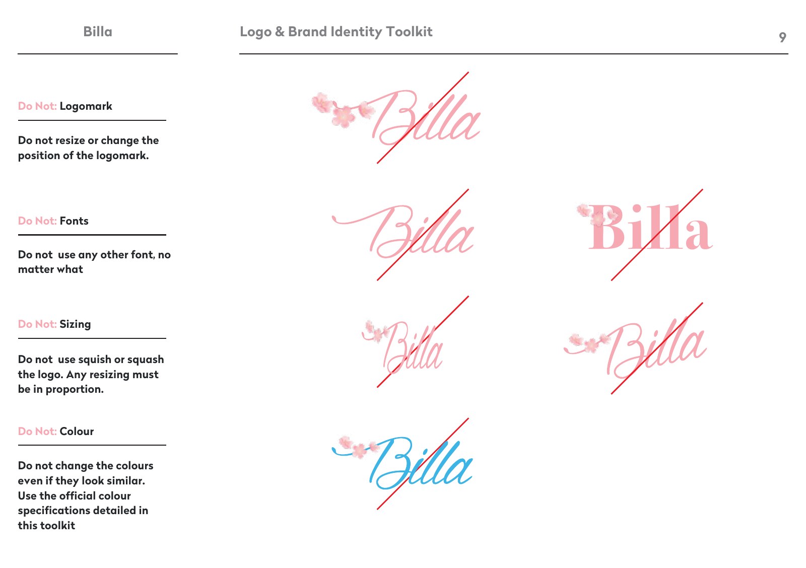 Billa presentation slide 11