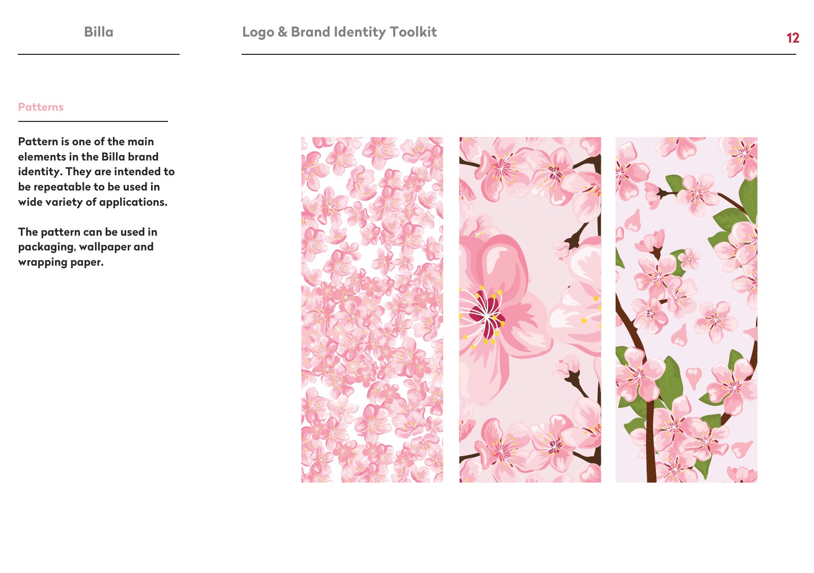 Billa presentation slide 13